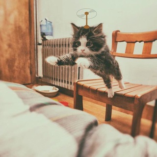 SaltyLeo的博客讨论组！