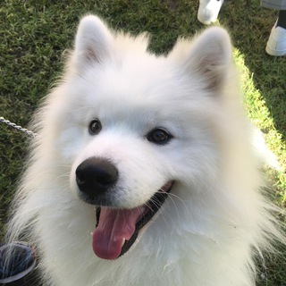 A Place Of Happiness