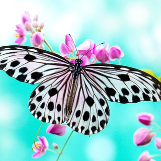 美剧←→blahblah (& etc.)