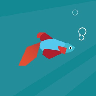 无籽水稻种植基地